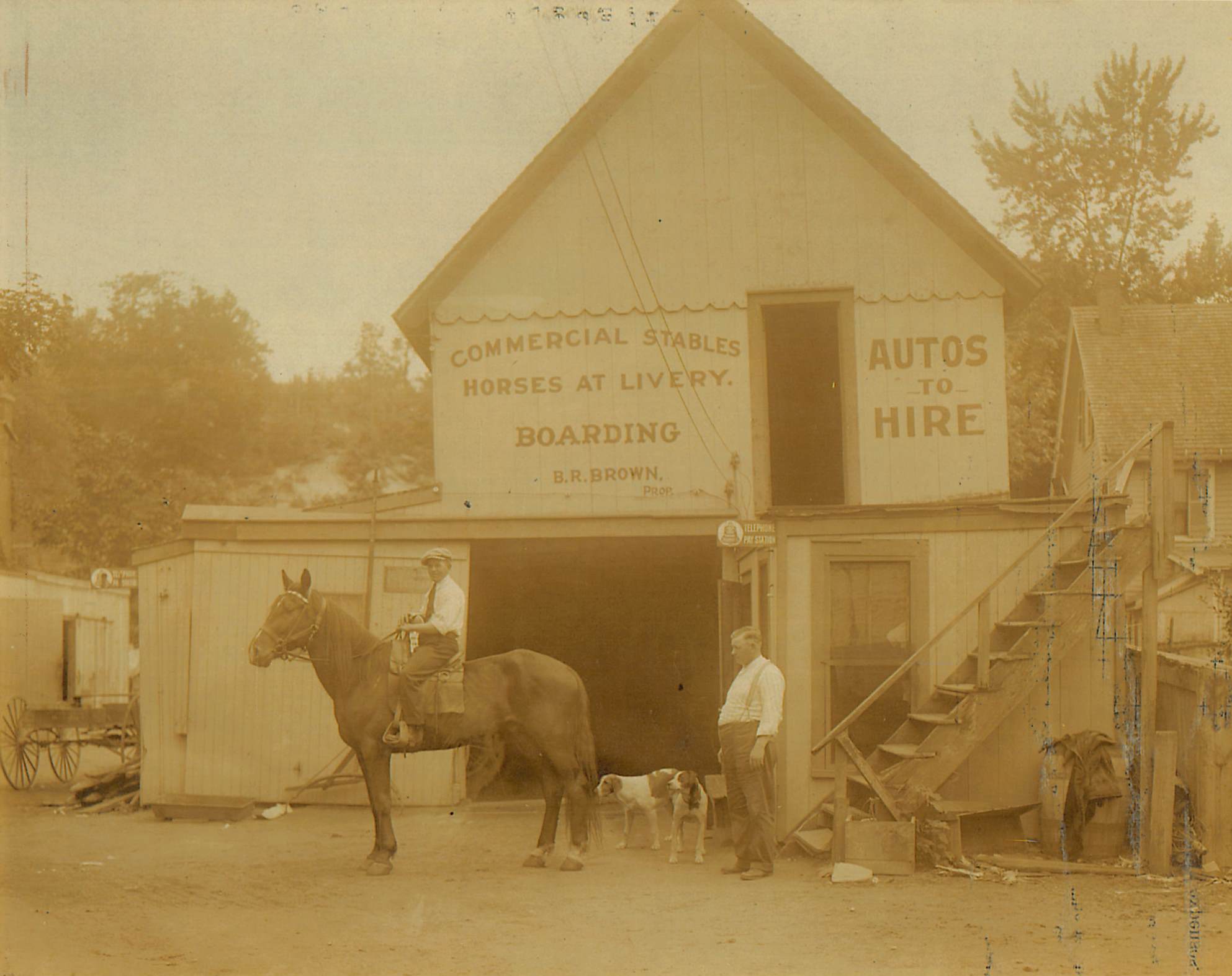 horse and buggy